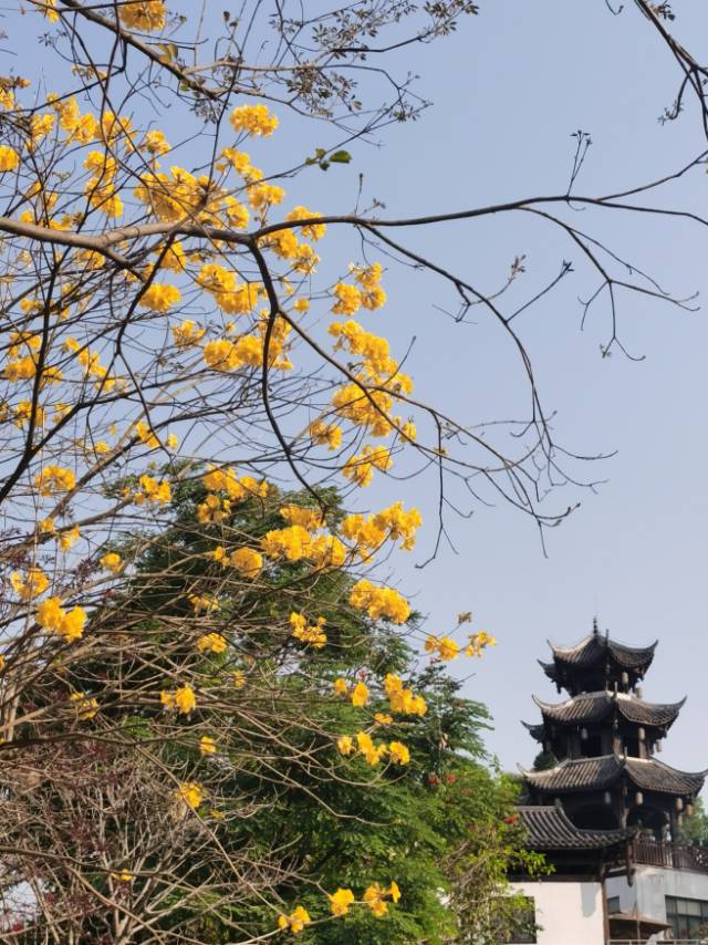 找搭子