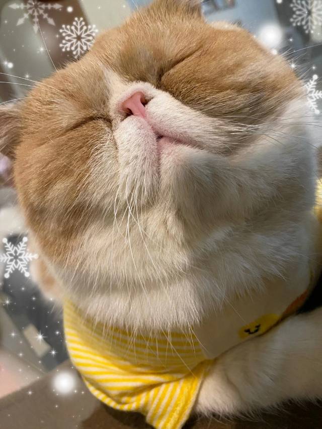找搭子