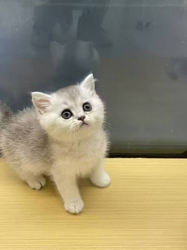 找搭子