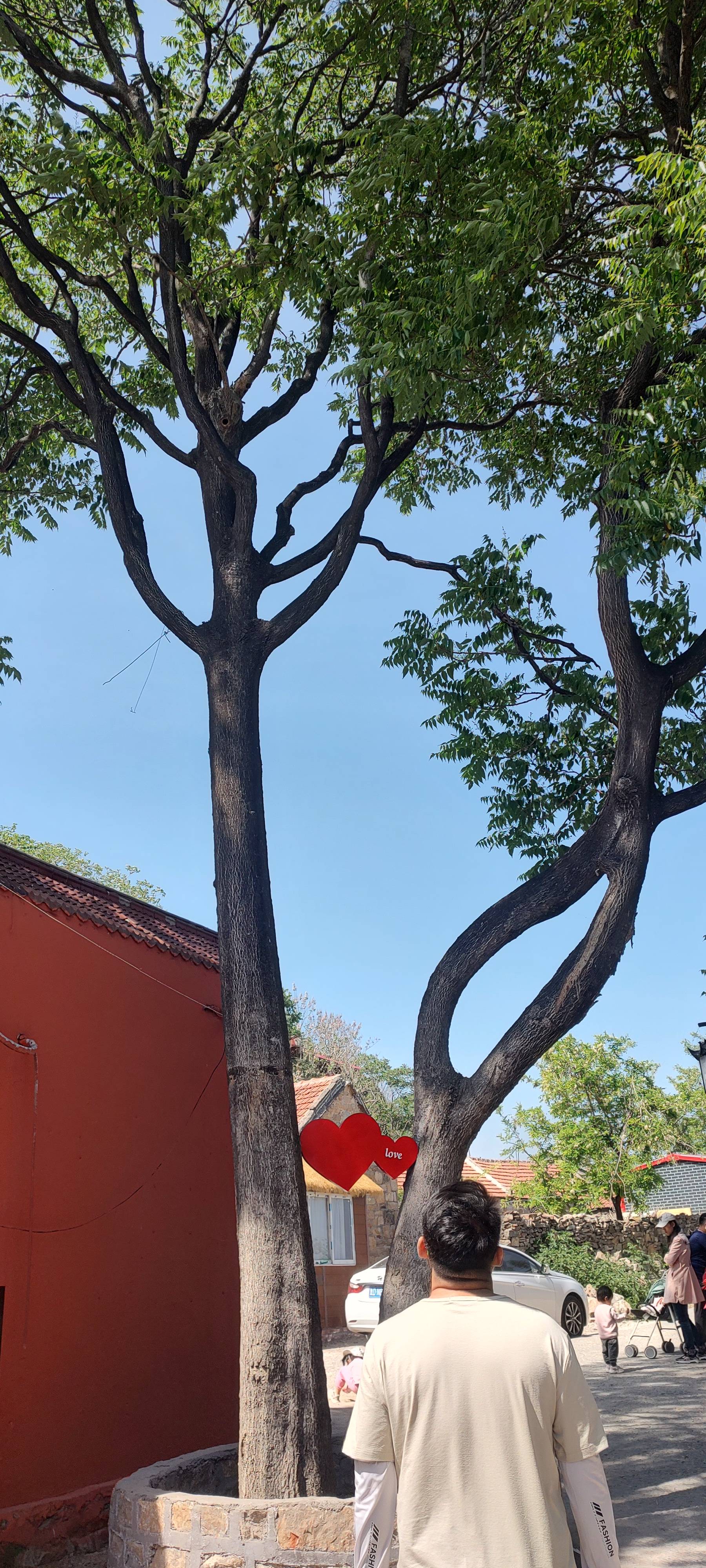 找搭子