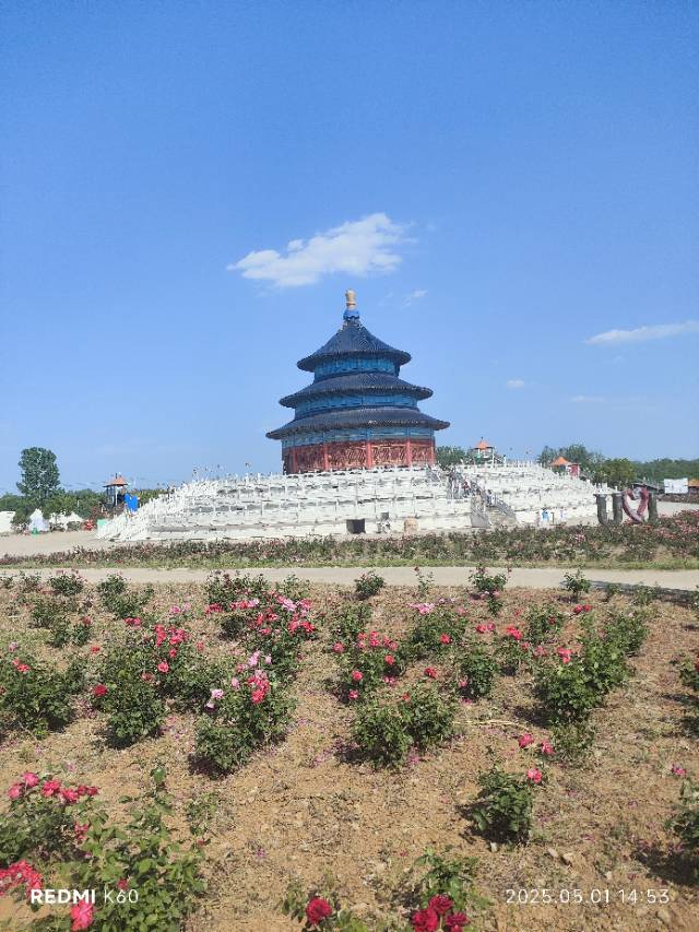 找搭子