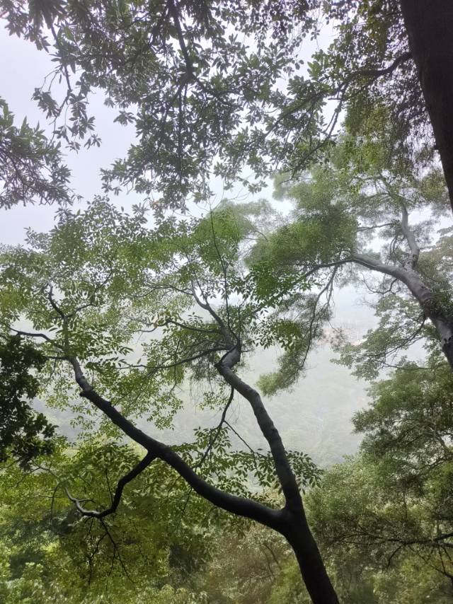 找搭子