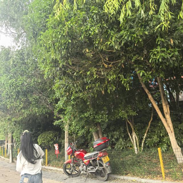 找搭子
