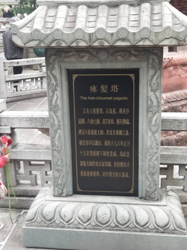 找搭子