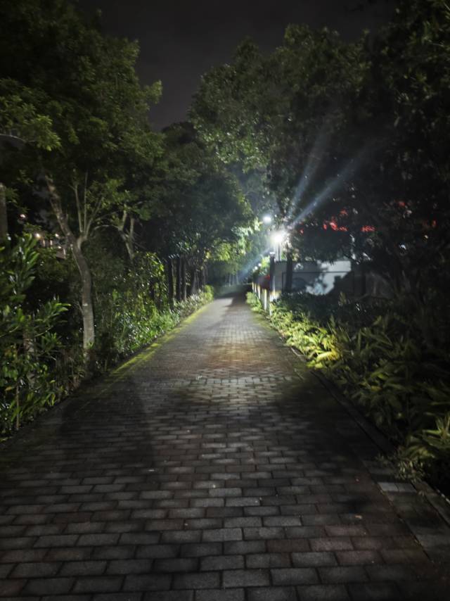 找搭子