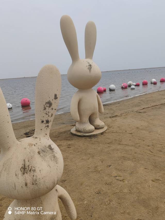 找搭子