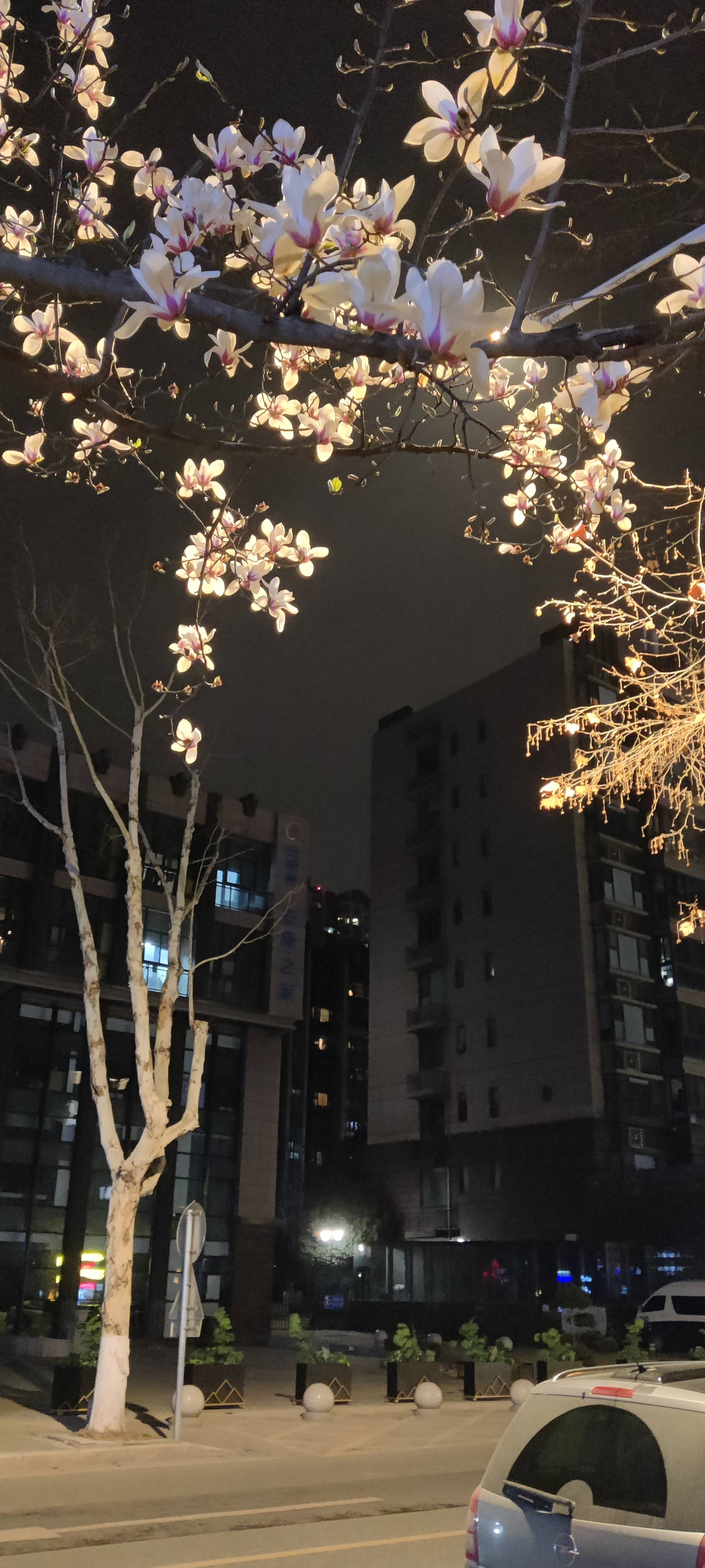 找搭子