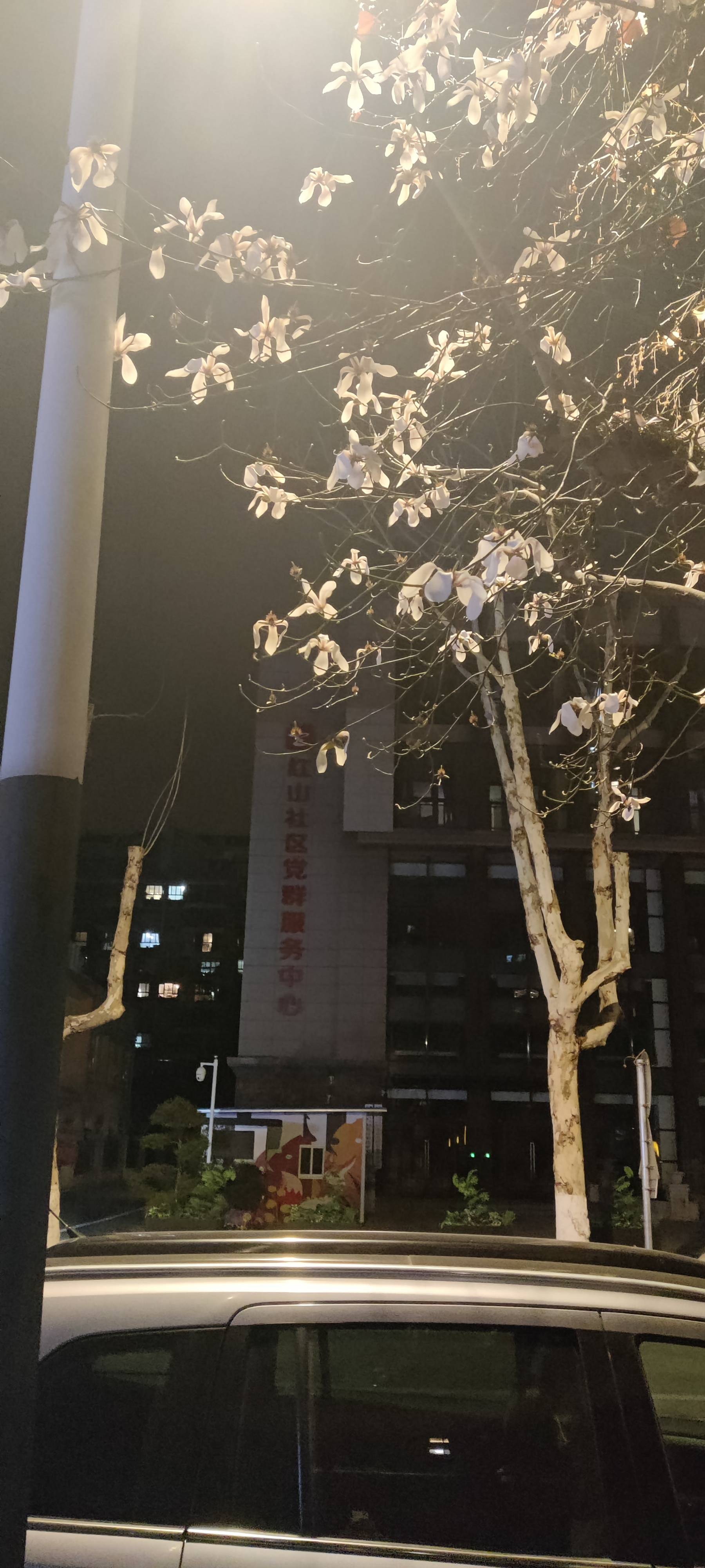 找搭子