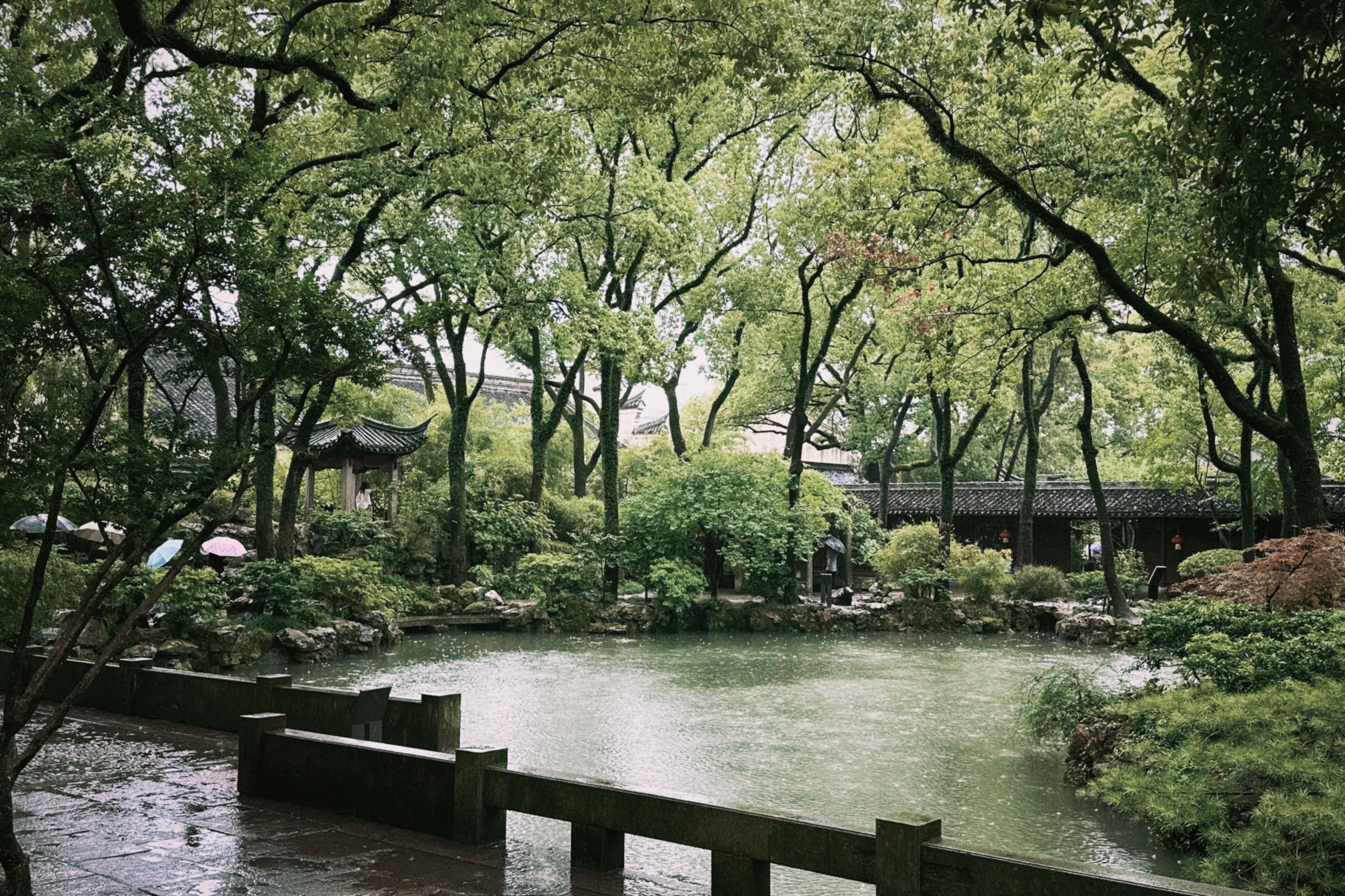 找搭子
