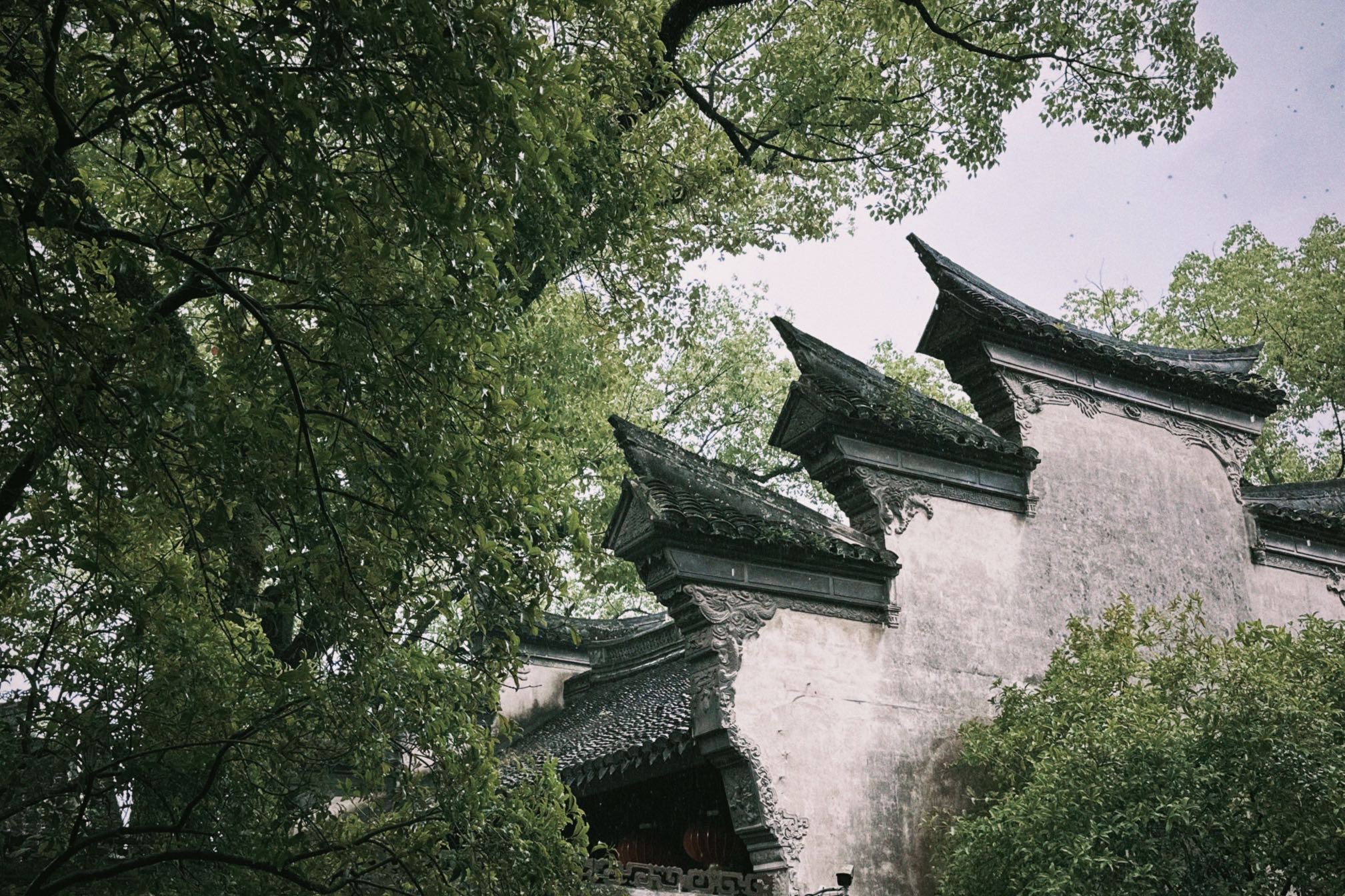 相亲找对象