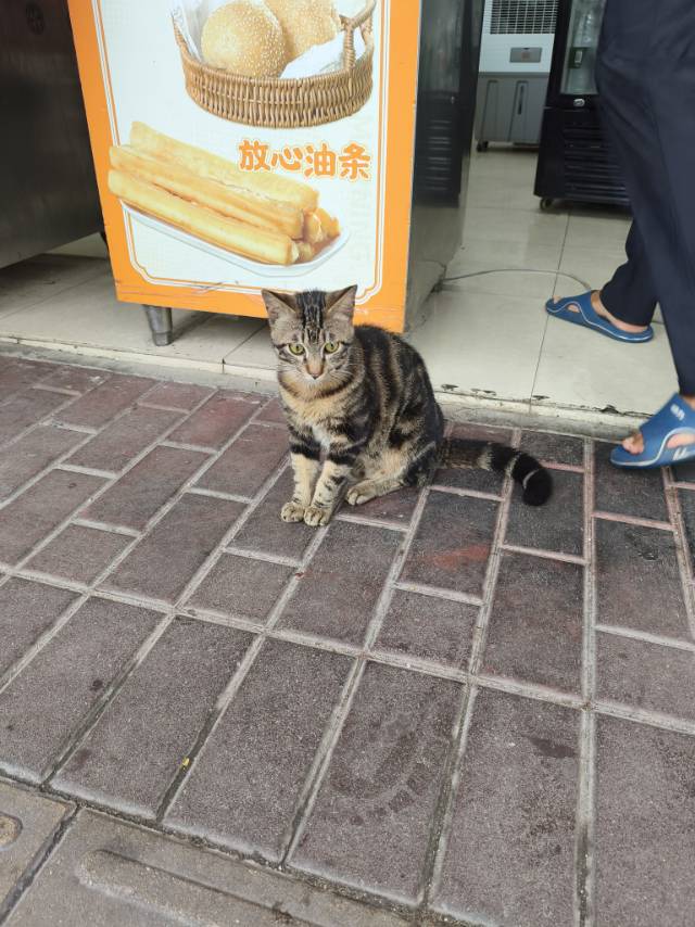 找搭子