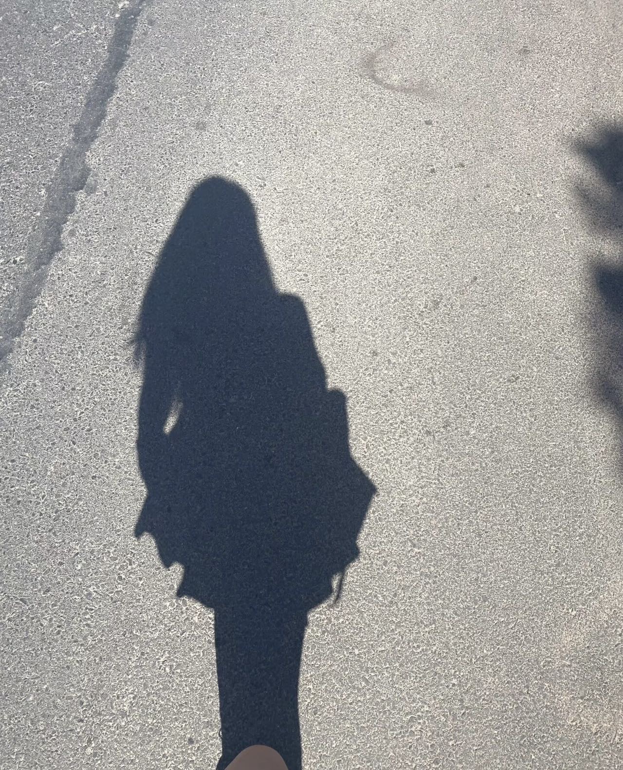 找搭子
