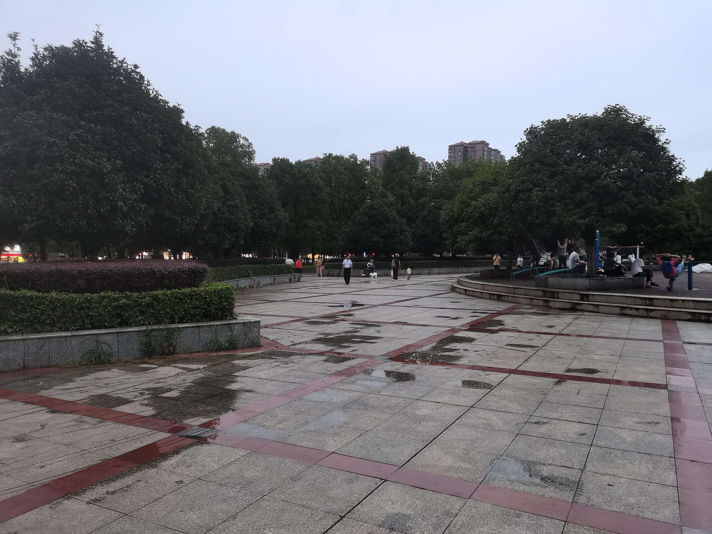 找搭子
