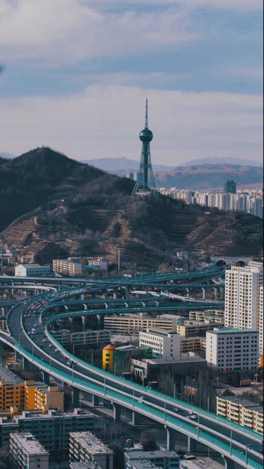 找搭子