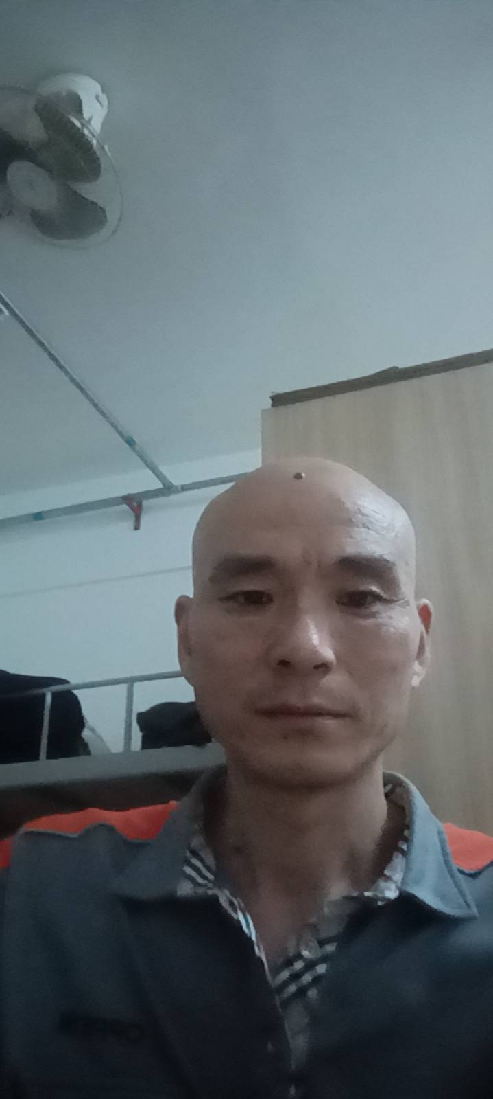 找搭子