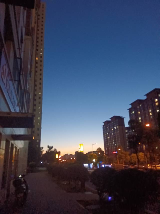 找搭子