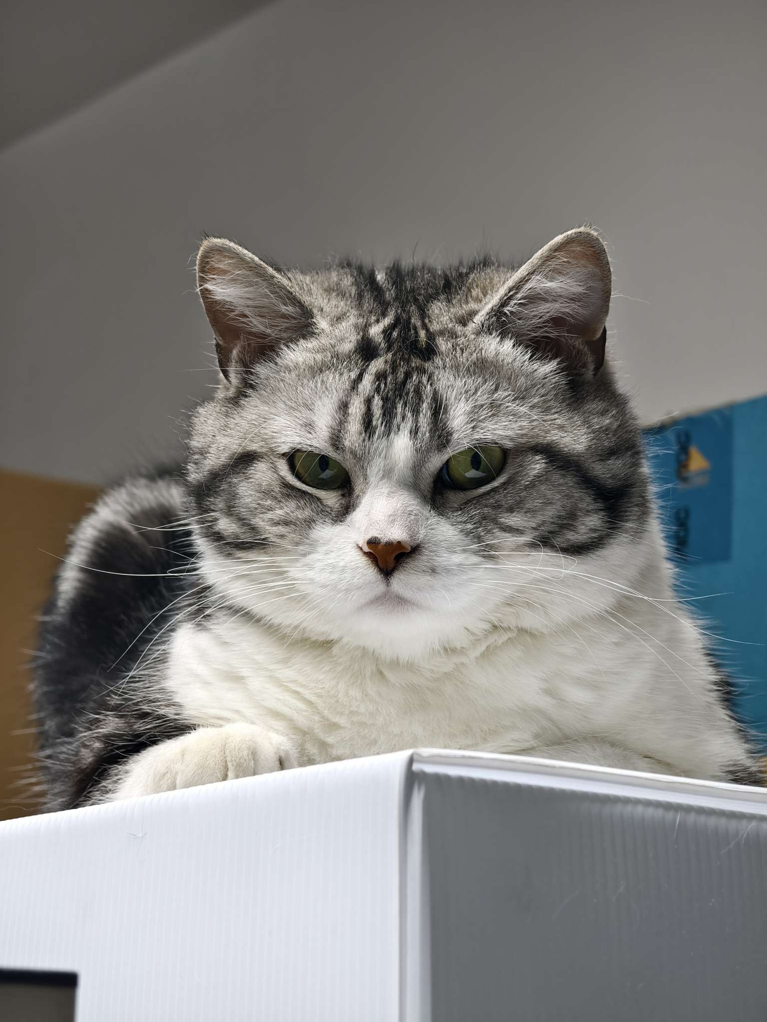 找搭子