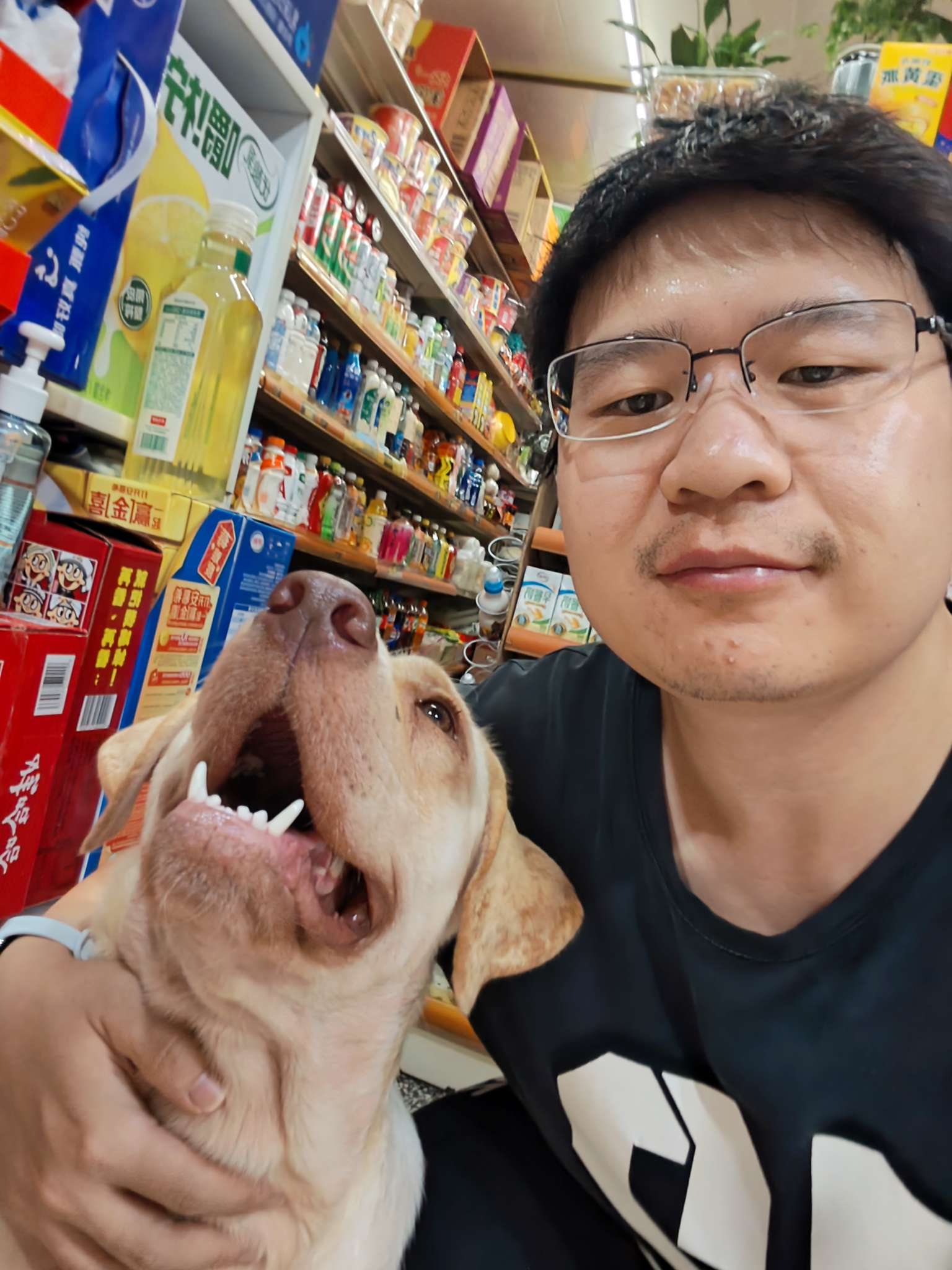 找搭子