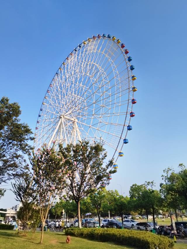 找搭子