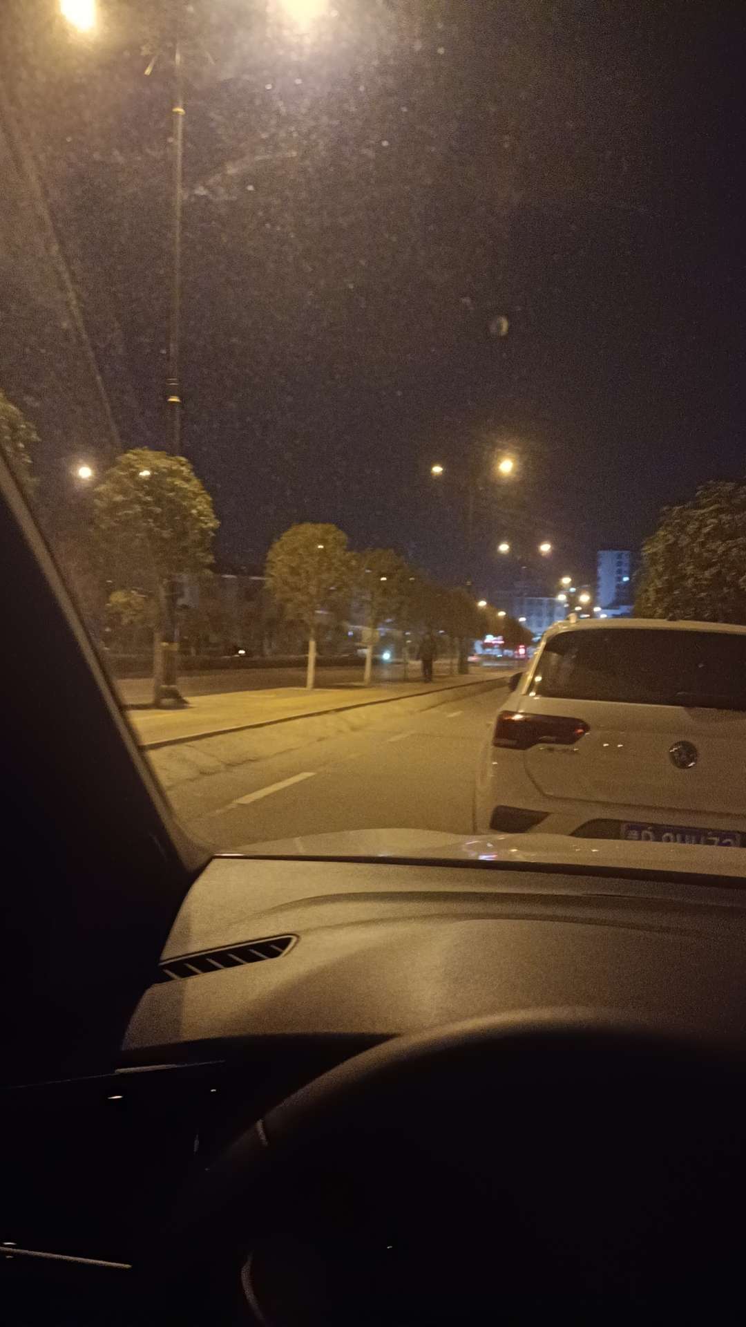找搭子