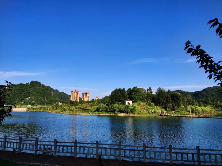 找搭子