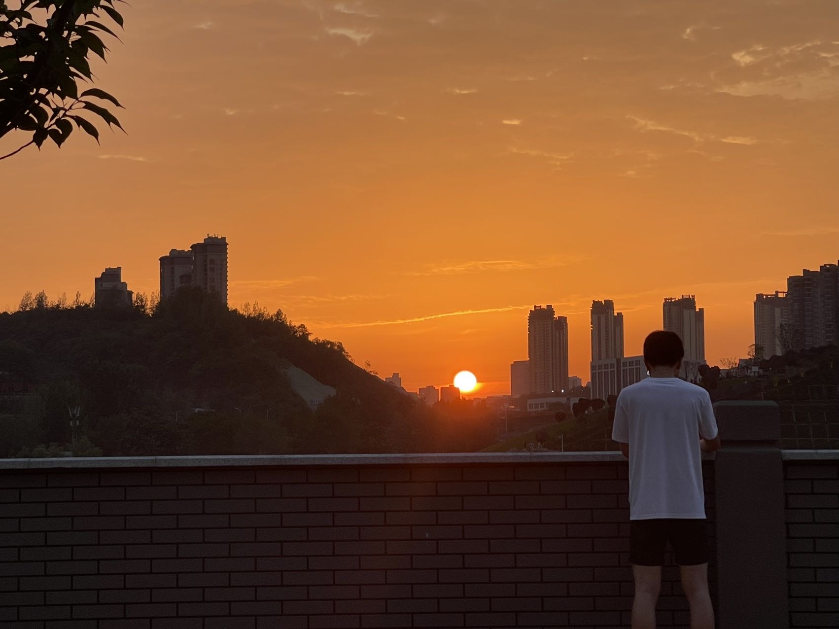 找搭子
