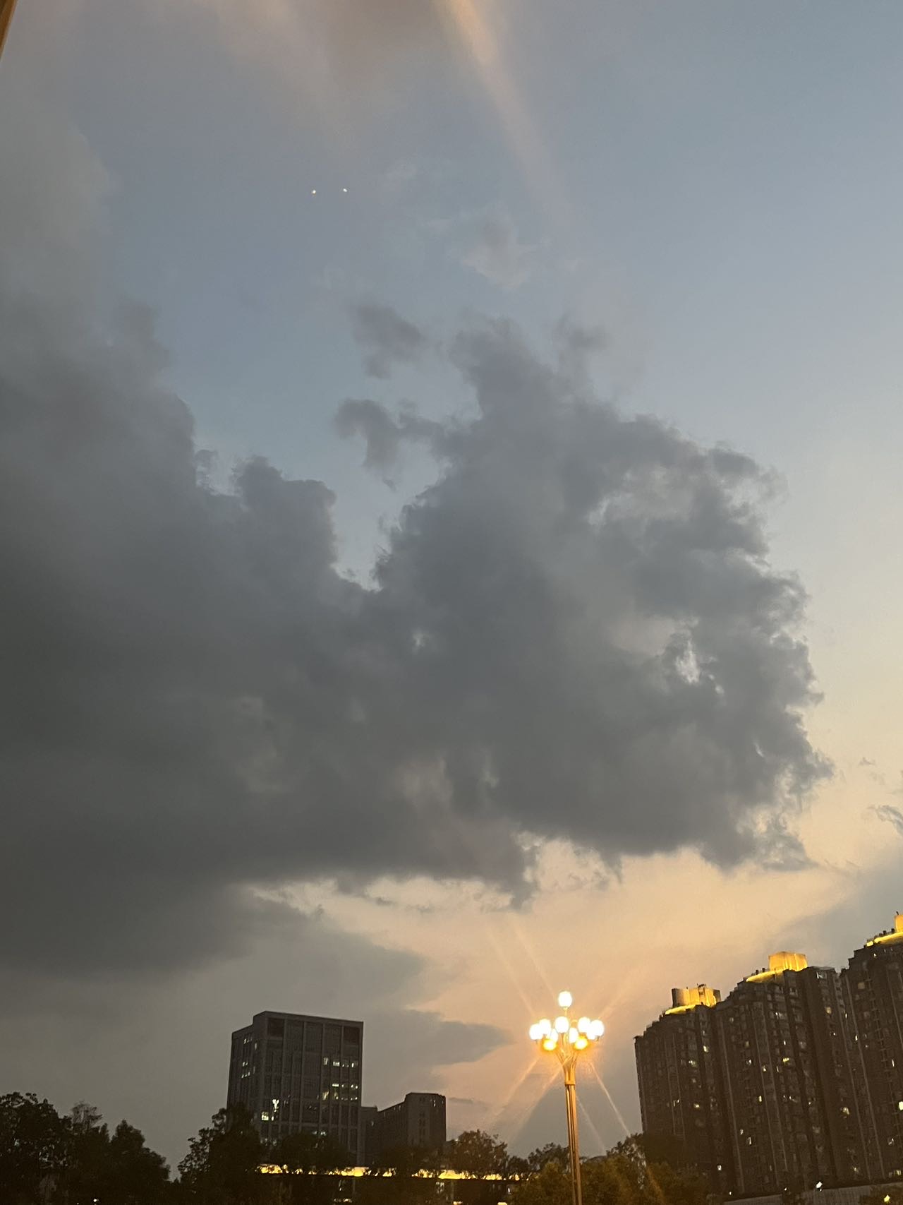 找搭子