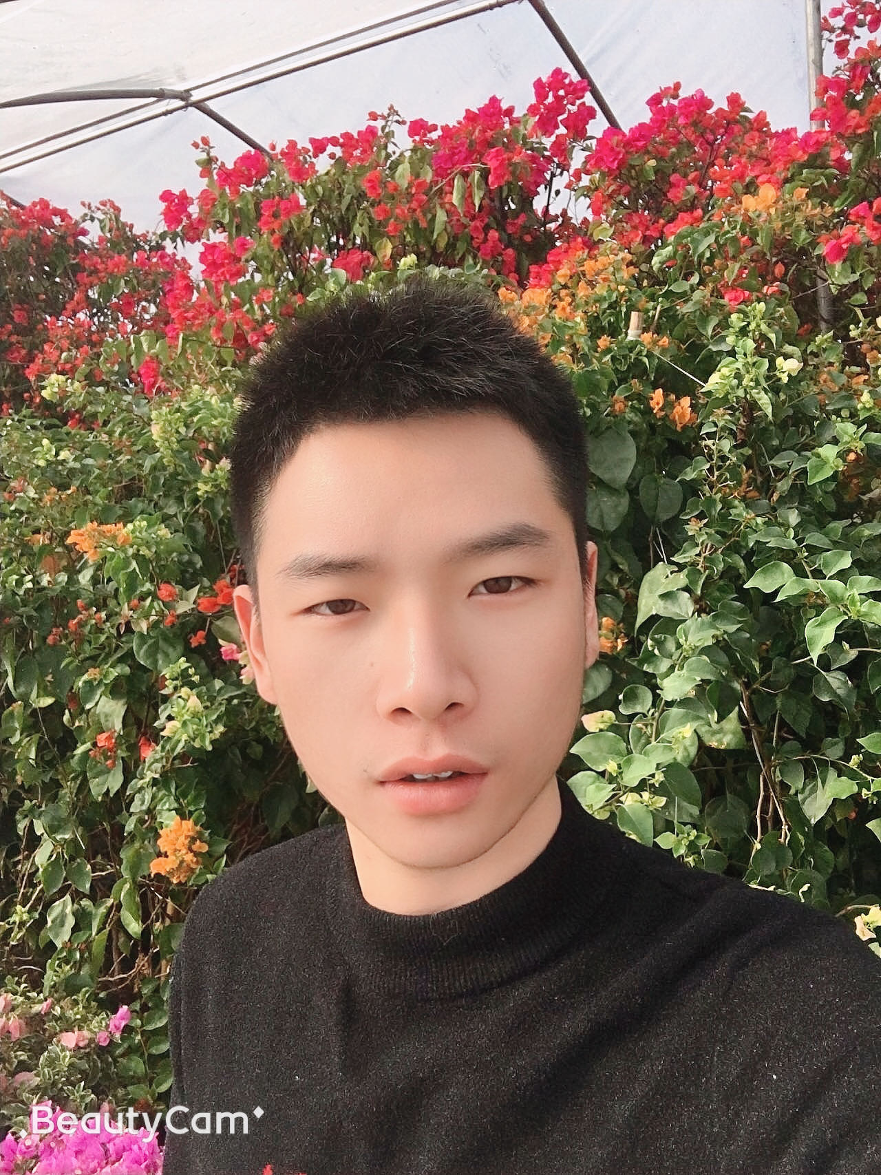 找搭子