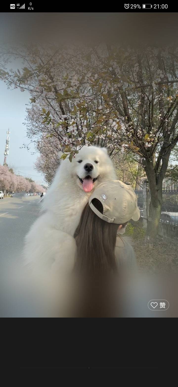 找搭子